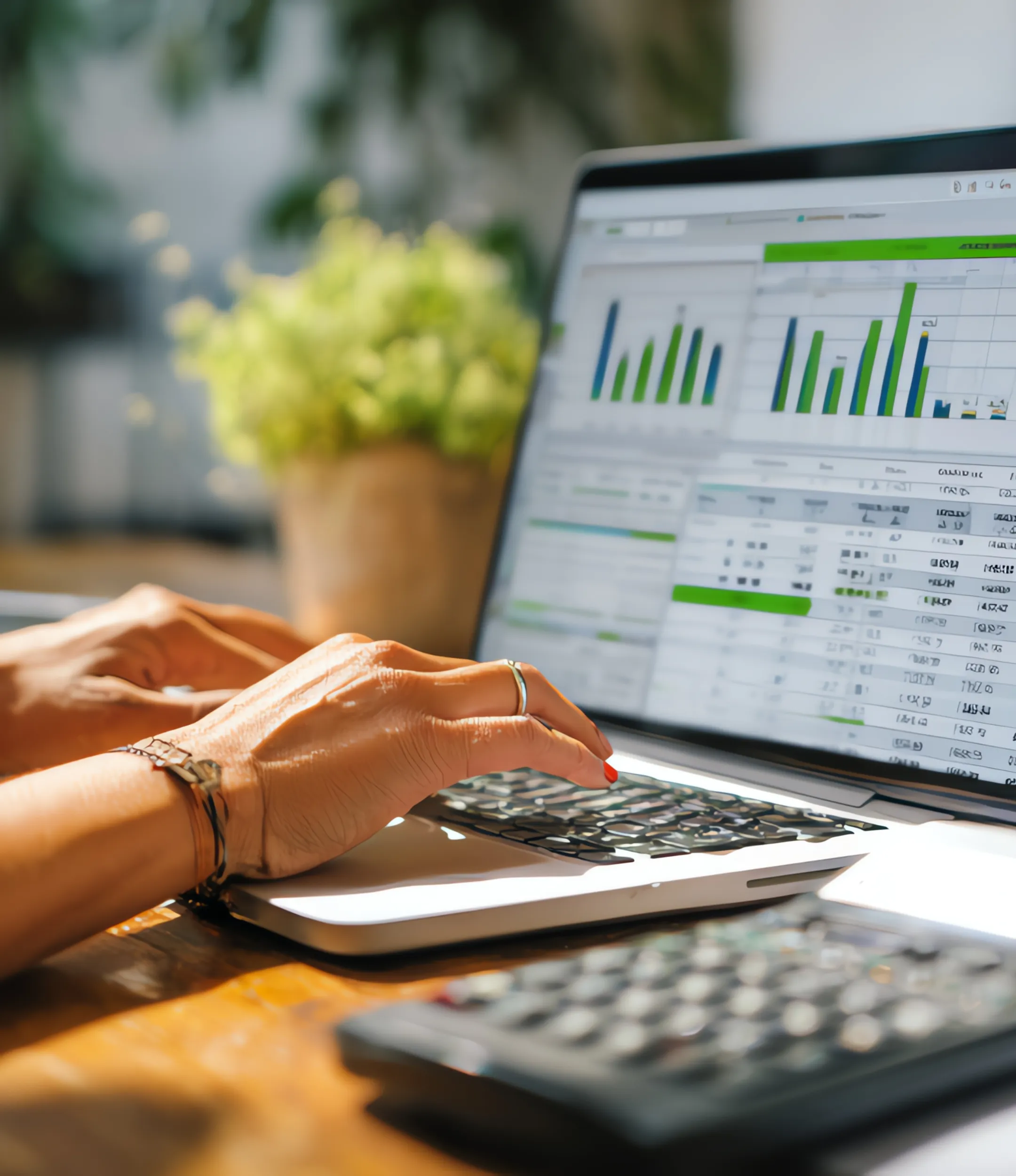 Our EIP Software Services